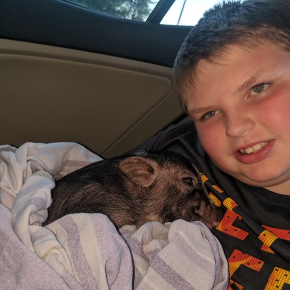 Meet your Posher, Devyn - Picture 1 of 1